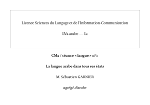 Licence Sciences du Langage et de l'Information-Communication LV2 arabe — L1