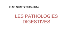 LES PATHOLOGIES DIGESTIVES IFAS NIMES 2013-2014