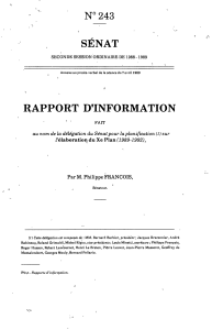 SÉNAT RAPPORT D'INFORMATION N°243