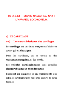 cours magistral n 2 1