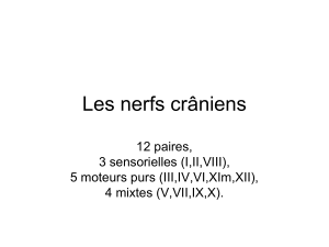 Les nerfs crâniens 12 paires, 3 sensorielles (I,II,VIII), 5 moteurs purs (III,IV,VI,XIm,XII),