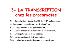 Transcription.pdf