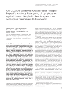 Anti-CD3/Anti-Epidermal Growth Factor Receptor- Bispecific Antibody Retargeting of Lymphocytes