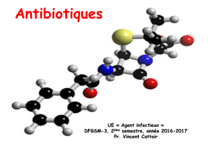 Antibiotiques UE « Agent infectieux » DFGSM-3, 2 semestre, année 2016-2017