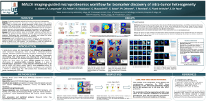 MALDI imaging-guided microproteomics workflow for biomarker discovery of intra-tumor heterogeneity