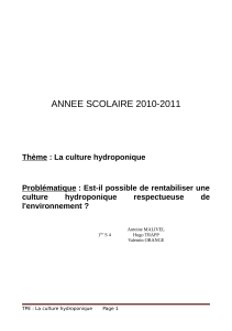 ANNEE SCOLAIRE 2010-2011