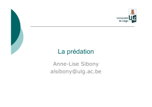 La prédation Anne-Lise Sibony