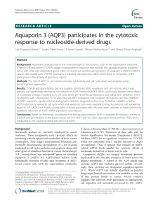 Aquaporin 3 (AQP3) participates in the cytotoxic response to nucleoside-derived drugs