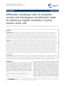 Differential contributory roles of nucleotide excision and homologous recombination repair