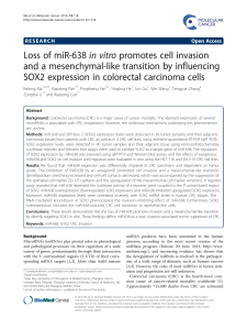 in vitro promotes cell invasion Loss of miR-638