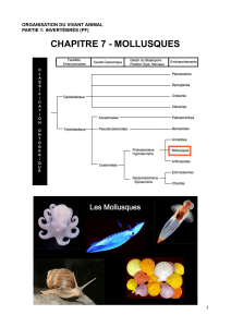 ova c7 mollusques pdf compressed