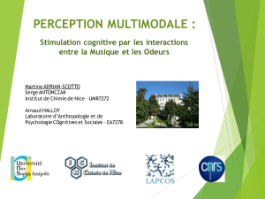 PERCEPTION MULTIMODALE : Stimulation cognitive par les interactions