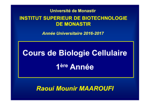 cours bio cell chap iv 1ere a isbm 2016 2017
