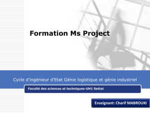 formation ms project