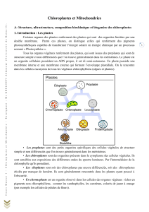 Chloroplastes et Mitochondries  A- 1. Introduction : Les plastes