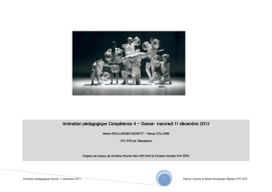 Animation pédagogique Compétence 4 – Danse- mercredi 11 décembre 2013 EPS