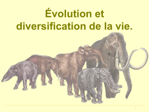 Evolution sélectionhistoire 2016