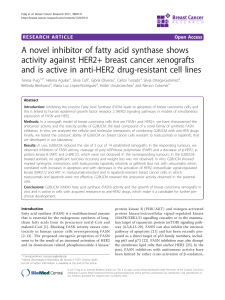 A novel inhibitor of fatty acid synthase shows