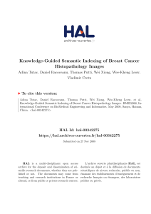 Knowledge-Guided Semantic Indexing of Breast Cancer Histopathology Images