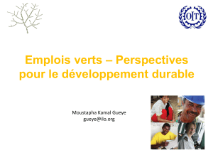 Emplois verts – Perspectives pour le développement durable  Moustapha Kamal Gueye