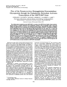 http://groups.molbiosci.northwestern.edu/morimoto/research/Publications/J. Virol.-1991-Watowich-3590-7.pdf