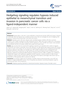 Hedgehog signaling regulates hypoxia induced epithelial to mesenchymal transition and