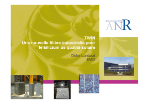 TWIN Une nouvelle filière industrielle pour le silicium de qualité solaire Didier Landaud