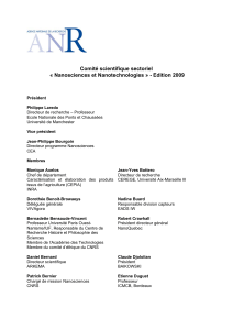Comité scientifique sectoriel « Nanosciences et Nanotechnologies » - Edition 2009
