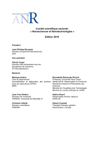Comité scientifique sectoriel « Nanosciences et Nanotechnologies »  Edition 2010