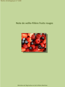 140723-note veille fruits rouges-sl