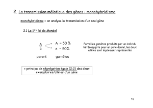 2. La transmission méiotique des gènes   monohybridisme