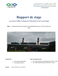 Rapport de stage DXM ONEEB