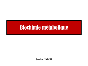 BiochimieS4