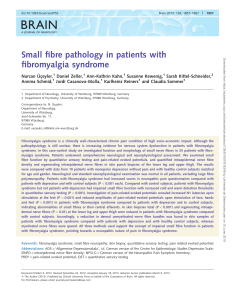 Small fiber pathology FM Üçeyler
