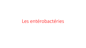 exposé sur Les entérobactéries