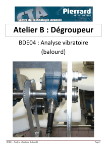 255826662-BDE04-Analyse-Vibratoire-Balourd