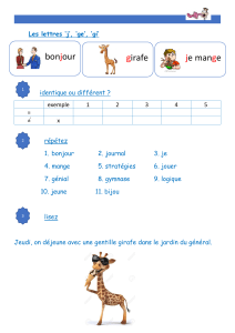 Mon cahier des sons en français