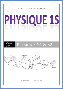 PHYSIQUE WPS