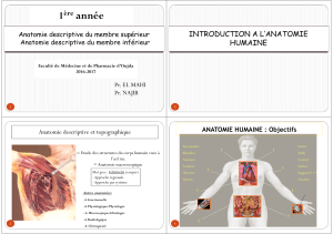 Cours Anatomie I 2016-2017 1 