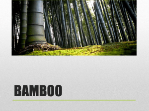 bamboo-150615125325-lva1-app6891
