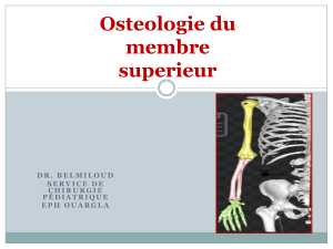 Osteologie du membre superieur