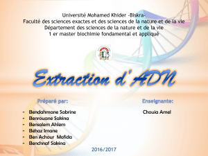 Extraction d'ADN ppt