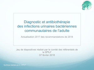 spilf-comite-referentiels-iu-communautaires-2018