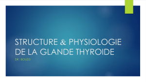 STRUCTURE & PHYSIOLOGIE DE LA GLANDE THYROIDE