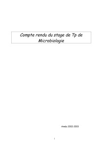 86595763-Compte-Rendu-Du-Tp-de-Microbiologie