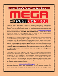 Remove Harmful Pests From Your Property