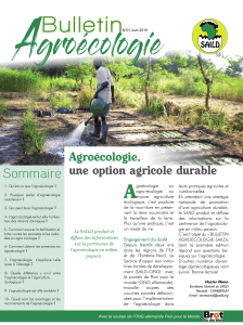 Bulletin-Agroécologie-SAILD-No-1