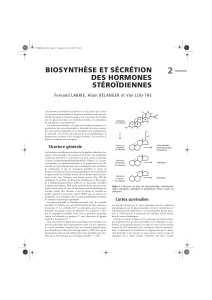 biosynthèse et sécrétion des stéroides