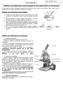 1 - le microscope