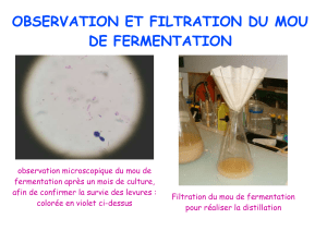 9 observation  filtration distillation 2008